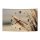 LAUTLOSE Designer Wanduhr Wasserpflanze Meer Strand modern Dekoschild Abstrakt Bild 38 x 25cm
