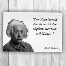 homeyourself Holzschild in 12 x 18 cm - Albert Einstein...