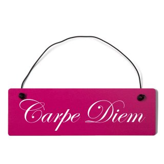 Carpe Diem Dekoschild T&uuml;rschild pink mit Draht